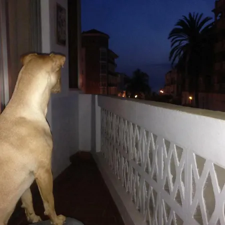 Apartamento Apartamento Real 1 *
